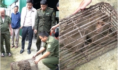 Tin tức thời sự hôm nay (19/2): Bắt được