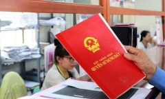 Trường hợp được đính chính giấy chứng nhận quyền sử dụng đất