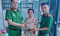 Người dân tự nguyện giao nộp rùa núi vàng quý hiếm cho cơ quan chức năng