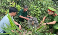 Tin tức thời sự 24h: Cu li quý hiếm xuất hiện trước cửa nhà dân ở Quảng Trị
