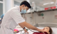 Người phụ nữ bị hơn 20 con ong vò vẽ đốt phải nhập viện cấp cứu