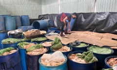Phát hiện nguyên liệu bốc mùi tại cơ sở sản xuất lạp xưởng, chả ram ở Gia Lai