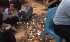 Thanh niên mang 20 bình tiền xu tiết kiệm đi mua nhà, 26 nhân viên đếm mỏi tay suốt 4 giờ
