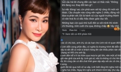 Bị chỉ trích có thái độ thiếu tinh tế khi gặp sự cố tại đêm diễn, Uyên Linh nói gì?