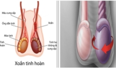 Tin tức đời sống 5/10: Đau dữ dội vùng bìu, chàng trai 20 tuổi may mắn giữ được tinh hoàn