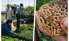 Anh nông dân mỗi năm kiếm bạc tỷ nhờ nuôi loài