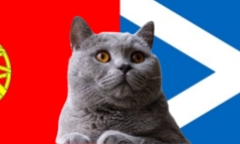 Nhận định soi kèo trận Bồ Đào Nha vs Scotland, Nations League 1h45 ngày 9/9: Mèo tiên tri thích ai?