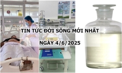 Tin tức đời sống 4/6: Ăn nấm rừng, 7 người nhập viện, có ca tổn thương gan, thận