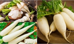 Loại củ giá rẻ, giàu dinh dưỡng được ví như 