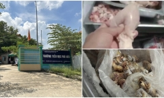 Thành phố Thủ Đức chỉ đạo chấn chỉnh an toàn thực phẩm trong trường học