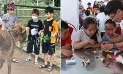 Hà Nội công bố danh sách trung tâm bồi dưỡng kỹ năng trong trường học