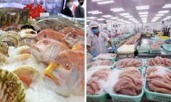 Xuất khẩu thủy hải sản Việt Nam biến động ra sao sau lệnh cấm của Trung Quốc với Nhật Bản?