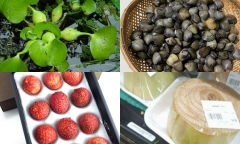 Những thứ bán rẻ như cho ở Việt Nam nhưng lại vô cùng đắt đỏ ở Nhật Bản
