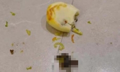 Người đàn ông quẳng ngay chiếc bánh bao khi vừa cắn miếng đầu tiên, nhìn thứ lộ ra ai nấy ghê cổ