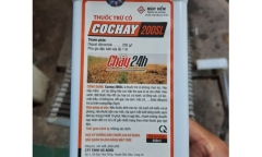 Mâu thuẫn với gia đình, cô gái uống 50ml thuốc diệt cỏ quyên sinh