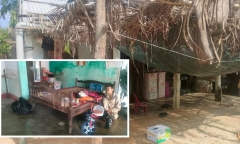 Cháu bé 1 tuổi tử vong thương tâm do bị trâu dẫm đạp