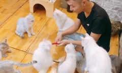  Cà phê mèo say đắm giới trẻ