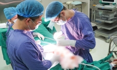 Tin tức đời sống ngày 22/5: Người đàn ông phát hiện mắc ung thư sau khi bị đau bụng kéo dài
