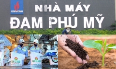 Cổ phiếu ngành phân bón tăng kịch trần trước thông tin Trung Quốc dừng xuất khẩu Ure 