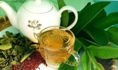 Bất ngờ với công dụng tuyệt vời từ nước lá ổi