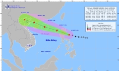 Tin bão Matmo mới nhất