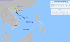 Áp thấp nhiệt đới đổ bộ vào Quảng Ninh - Hải Phòng, miền Bắc nhiều nơi mưa to