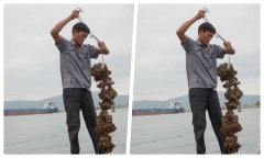 Anh nông dân đầu tư tiền tỷ nuôi loài 