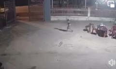 Bé trai 4 tuổi bị xe tải tông tử vong khi băng qua đường chơi trốn tìm 