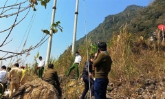 Vụ thầy giáo cùng con trai và cháu gái tử vong ở Thanh Hóa: Nguyên nhân ban đầu 