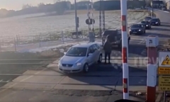 Clip: Cận cảnh con trăn khổng lồ dài 7,3 mét, siết tử vong một người đàn ông trên đường về nhà