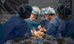 Nam sinh viên năm nhất tự nguyện hiến một phần gan cho thầy giáo bị suy gan cấp nguy kịch