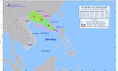 Bão Tapah sắp hình thành ảnh hưởng đến khu vực nào của nước ta?