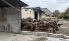 Nữ 