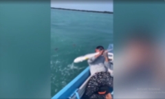 Chiêm ngưỡng cảnh