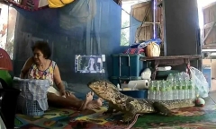 Đang ngồi trong nhà, cụ bà 78 tuổi 