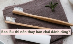 Bao lâu thì nên thay bàn chải đánh răng?