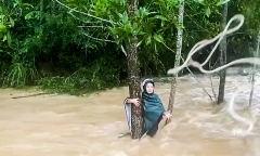 Ném dây thừng cứu sống người phụ nữ bị cuốn trôi giữa dòng nước lũ ở Nghệ An