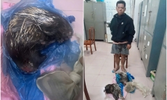 Nam thanh niên đặt bẫy nhím, cầy vòi hương trong rừng Cát Tiên mang đi bán
