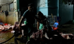 Lộ diện đường dây chuyên đưa thịt lợn bệnh, lợn chết vào các chợ ở Hà Nội