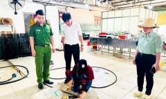 Phát hiện hàn the trong chả chiên tại bếp ăn công nghiệp ở Đồng Nai