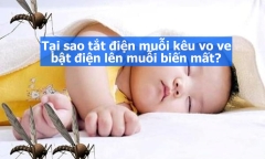 Tại sao tắt điện muỗi kêu vo ve, bật điện lên muỗi biến mất?