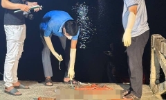 Bắc Ninh: Nam bệnh nhân rơi từ tầng 8 bệnh viện, tử vong