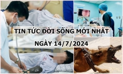 Tin tức đời sống ngày 14/7/2024: Đồng Nai ghi nhận 5 trường hợp bị chó dại cắn