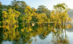 Suối Tía hồ Tuyền Lâm mùa lá vàng