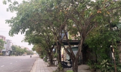 Bộ Công an yêu cầu cung cấp thông tin, tài liệu về dự án cây xanh các tỉnh, thành