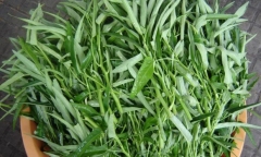 5 điều cấm kỵ khi ăn rau muống, nhớ để tránh kẻo rước họa vào thân