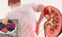 Những loại trái cây dành cho chế độ ăn uống của người bệnh thận