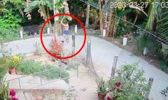 Đánh hàng xóm tử vong vì chuyện nuôi vịt có mùi hôi, người đàn ông lãnh án chung thân