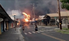 Cháy rừng càn quét Hawaii, người dân hoảng loạn nhảy xuống biển để thoát thân