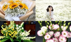 7 loại hoa mà các bậc phụ huynh 